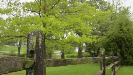 Wooden-fence-outdoors-with-trees-and-bushes-in-the-background