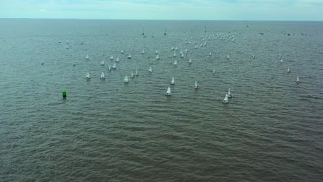 Large-group-of-Sailing-Optimist-students,-aerial-over-the-river