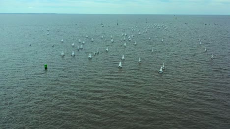 un gran grupo de estudiantes optimistas de vela, aéreos sobre el río.