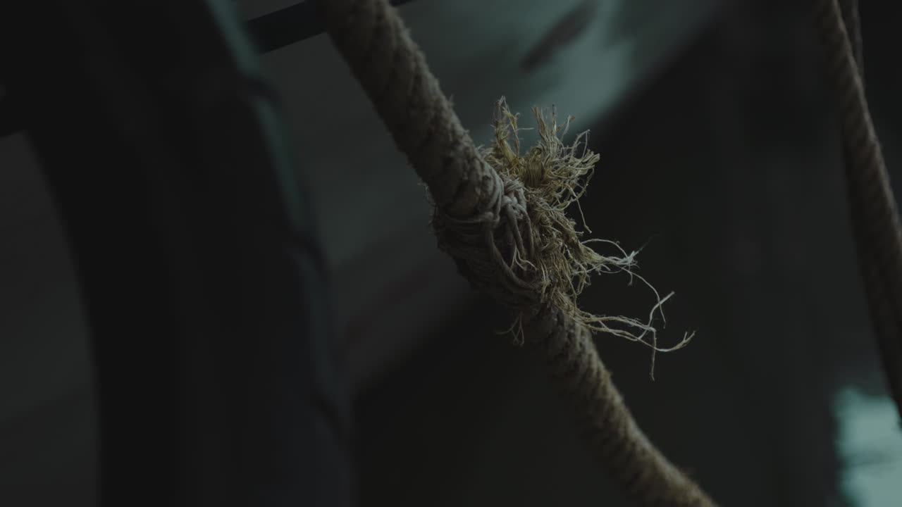 rope marine knot close up at bay dock pier harbour