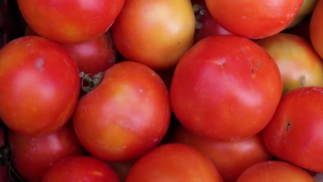 Frische-Bio-Tomaten-Vom-Bauernhof-Aus-Nächster-Nähe-Aus-Verschiedenen-Blickwinkeln