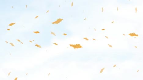 animation of orange bird feathers falling over cloudy blue sky