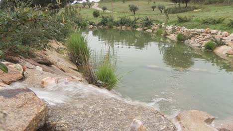 rustic water feature in a countryside garden