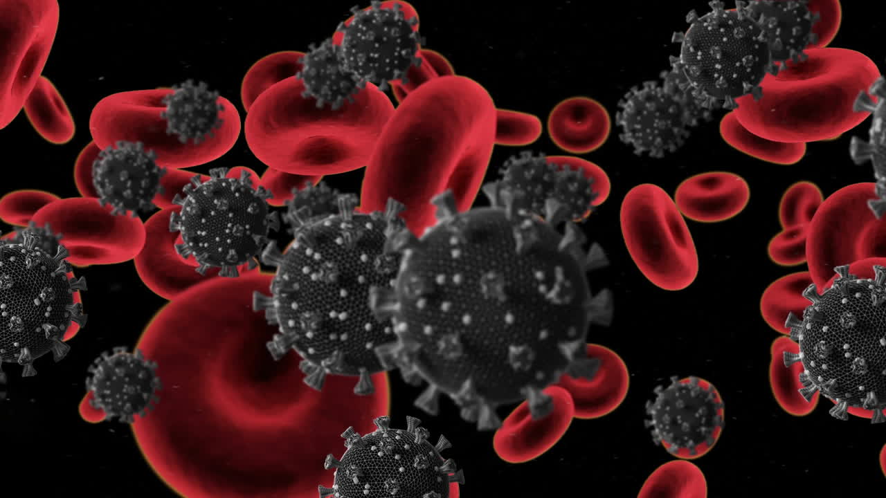 células de covid-19 y vasos sanguíneos contra un fondo negro