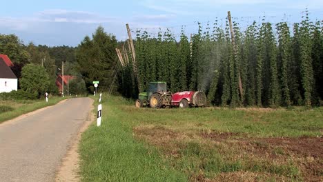 farmer using pesticides in a hop garden against mildew, bavaria, germany-1