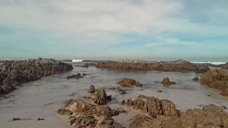 Dron-De-Vuelo-Lento-Y-Bajo-Disparado-Desde-La-Playa-A-Través-De-Rocas-Y-Pájaros-Sentados-En-Rocas-Que-Se-Elevan-Para-Revelar-Un-Océano-Abierto-Lleno-De-Bambú-Y-Olas-Rodando-En-Condiciones-Parcialmente-Nubladas.