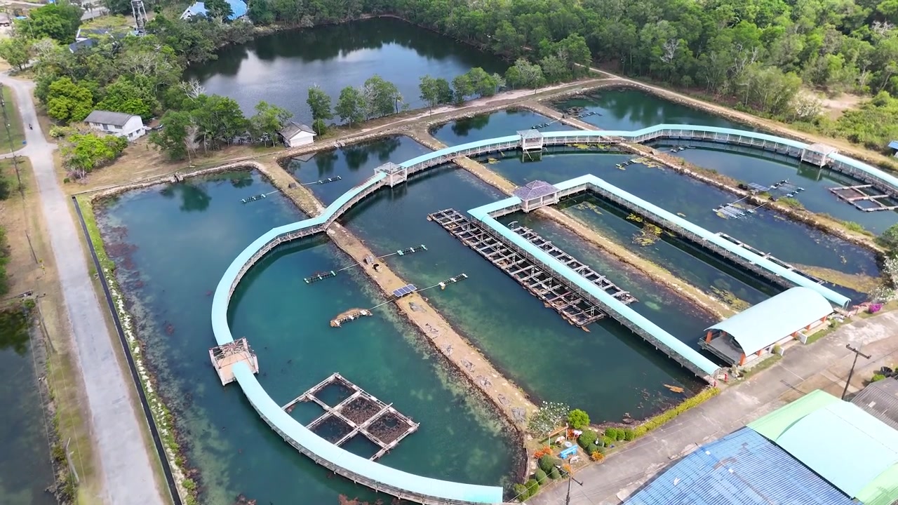 Toma aérea con dron de gran angular que revela estanques circulares de acuicultura e infraestructura industrial en la tropical Krabi, Tailandia