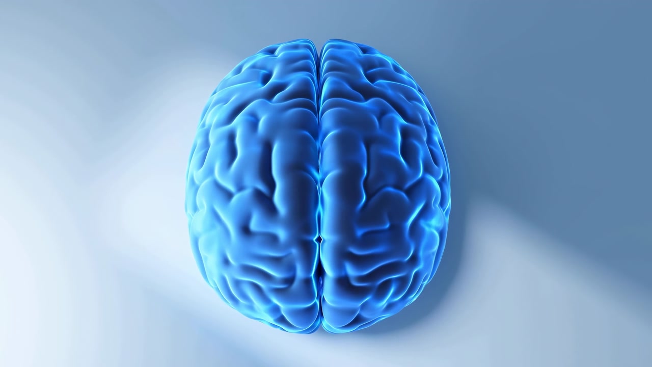 Rotating blue human brain model on pale gradient background with progressive front-side reveal, centered composition, glossy surface, smooth symmetry, clinical science concept