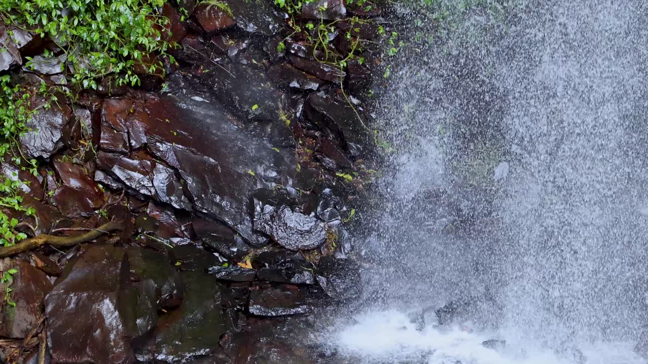 Water cascades down dark, wet rocks surrounded by green foliage in a steady, natural waterfall. Soft daylight, static camera, medium close-up framing