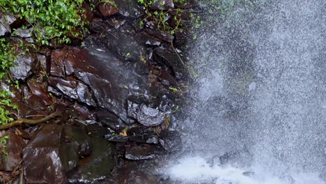 water cascades down dark, wet rocks surrounded by green foliage in a steady, natural waterfall. soft daylight, static camera, medium close-up framing