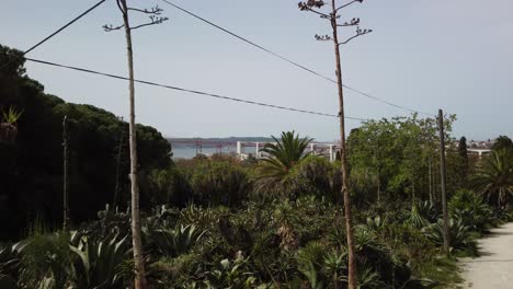 antena volando sobre un hermoso jardín de cactus en un parque histórico en el centro de lisboa, portugal