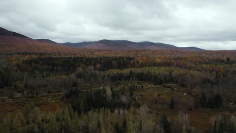 Deciduous-Forest-With-Mountain-View-In-Coos-County,-New-Hampshire,-USA