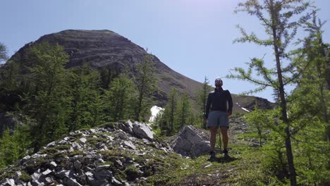 hiker watching admiring walking uphill followed, rockies, kananaskis, alberta canada