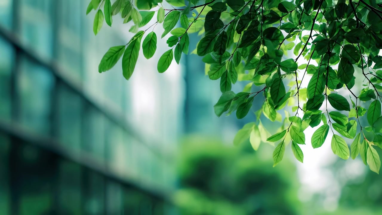 綠葉在現代辦公大樓前搖曳