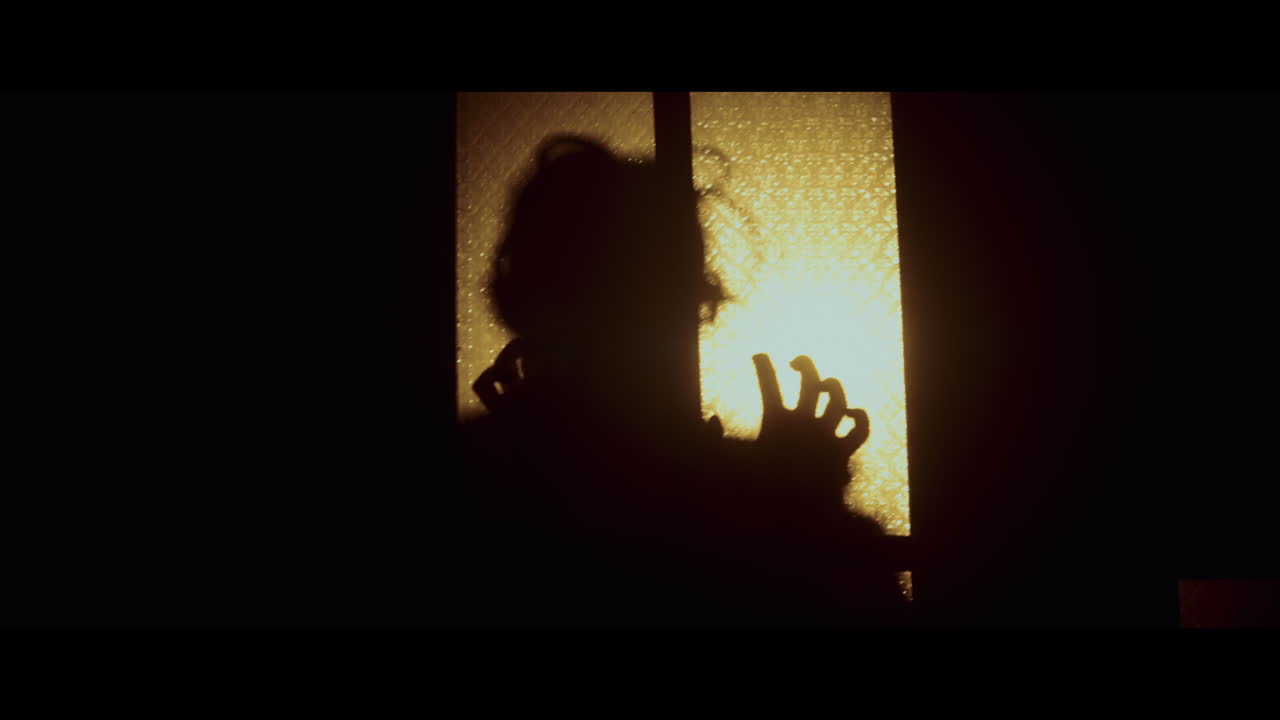 Silhouette of a Person at a Window at Night | Premium Stock Video Footage