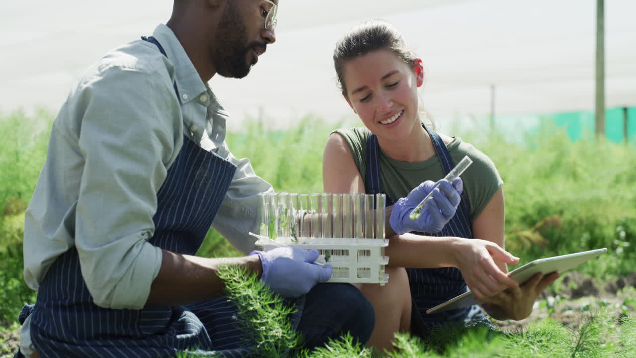 nuestro objetivo principal es cultivar plantas medicinales.