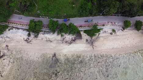 static zenithal drone shot shows vehicles moving beside sandy beach and dense vegetation