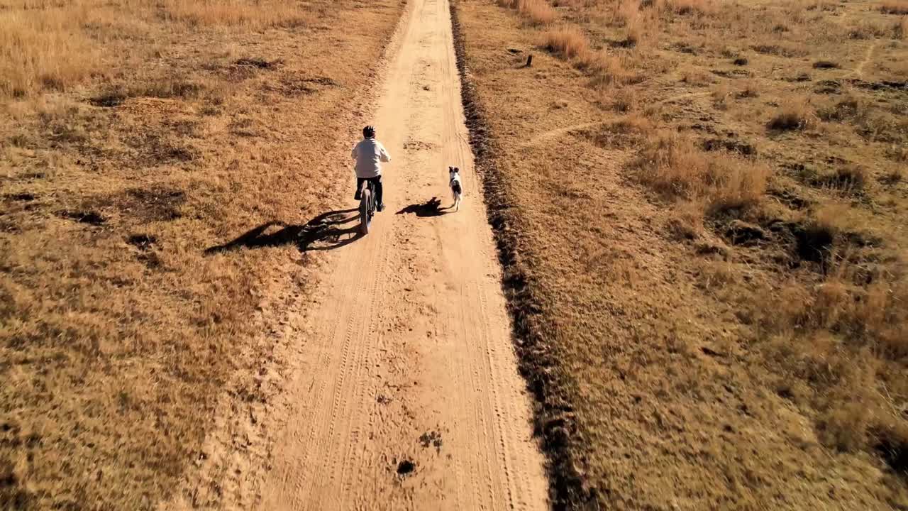 niño montando su bicicleta de montaña junto a su compañero de springer spaniel inglés en un camino de granja polvoriento