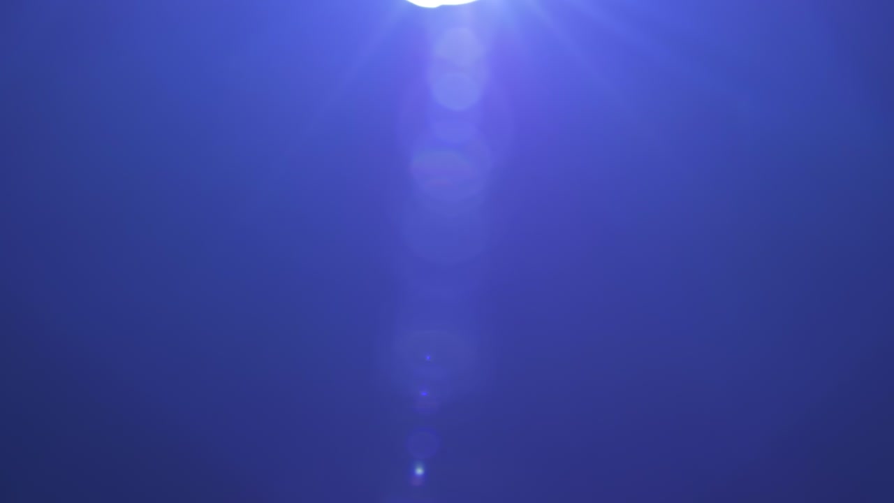 Abstract Blue and Purple Lens Flares and Light Leaks