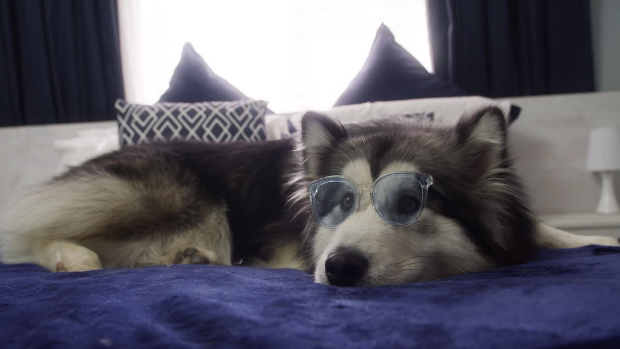 귀여움 과부하!