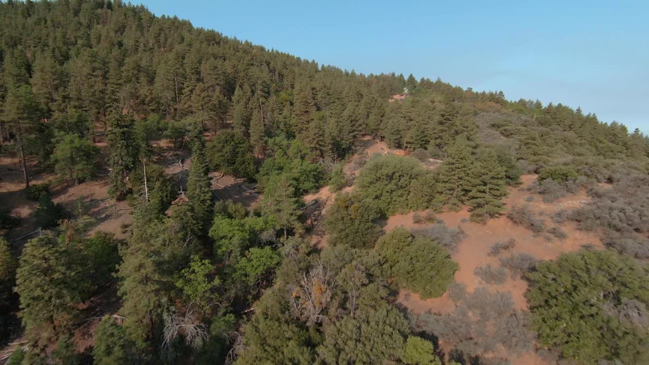 Fast flight over the forest and mountains of the Tehachapi wilderness with scenic views of the landscape