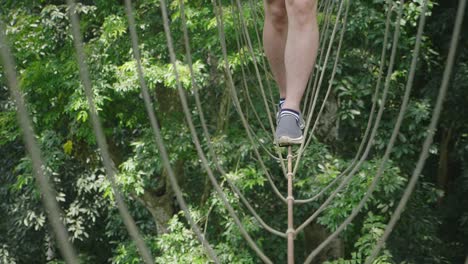 person walking on a rope bridge in a forest