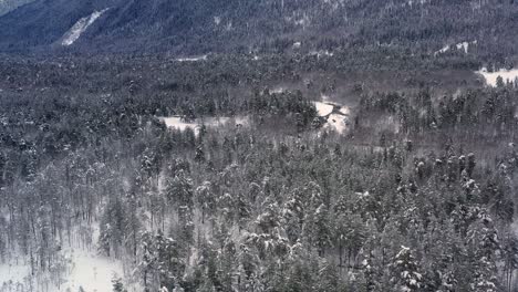 Schöner-Schneeszenenwald-Im-Winter.-Überfliegen-Von-Schneebedeckten-Kiefern.