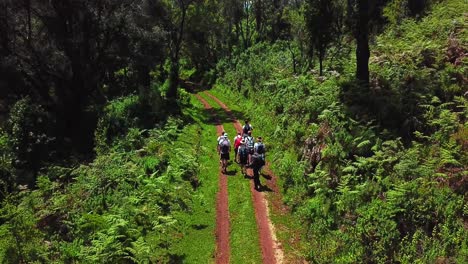 一群徒步旅行者在東非肯尼亞埃爾貢山國家公園的山道上穿過毛茸茸的森林