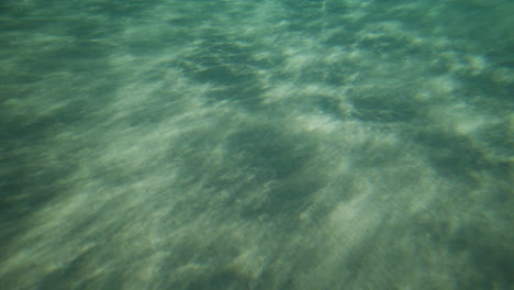 Surfer-riding-on-a-wave-in-crystal-clear-water-in-Byron-Bay-Australia-shot-from-underwater-in-slow-motion