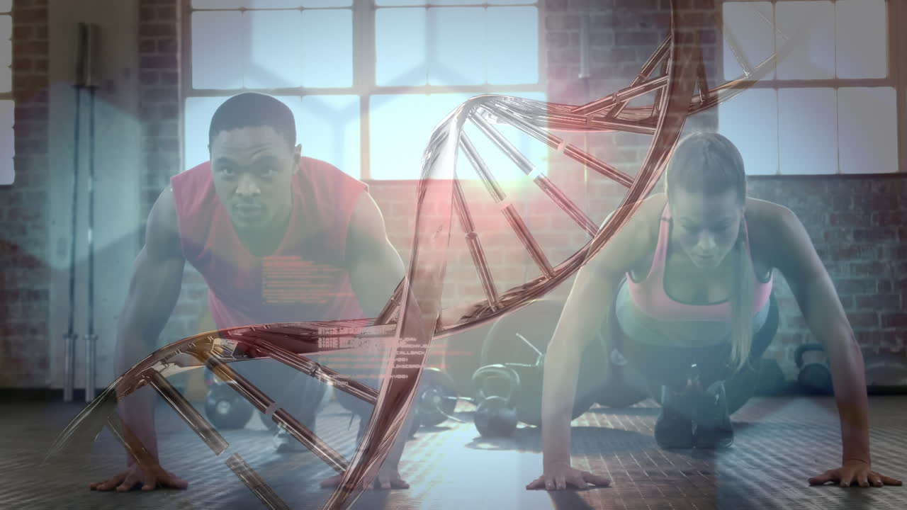 체육관에서 푸시업 운동을 하는 두 인종의 건강한 커플에 대한 의료 데이터 처리