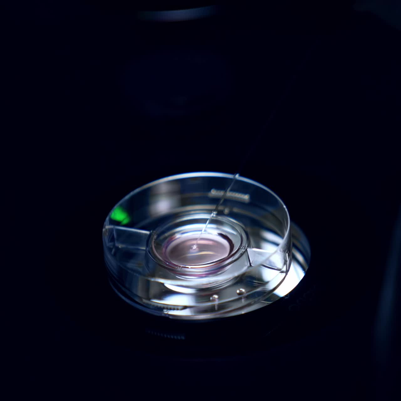 Process of mature eggs fertilization in the laboratory conditions. Medic working with long needle in the cup under microscope. Dark backdrop