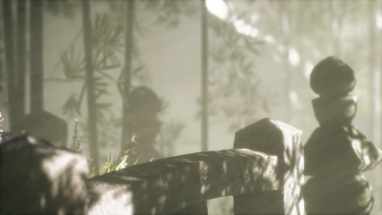 일본 대나무 숲 과 녹색 초원 잔디 와 자연 빛