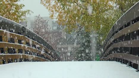 Snow-falling-on-a-footpath-bridge-in-Colorado