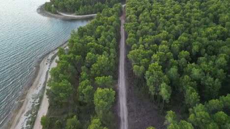 Following-dirt-road-with-drone-in-protected-forest-of-pine-trees-in-Vrsi-Mulo,-Zadar-region-Croatia