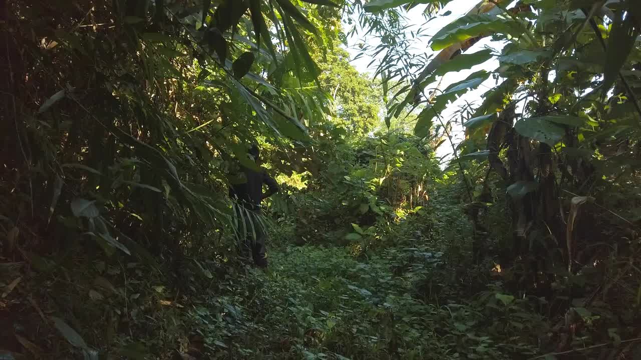 un cazador en busca de su presa