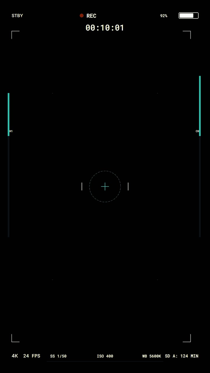 Digital Camera Recording Interface Overlay