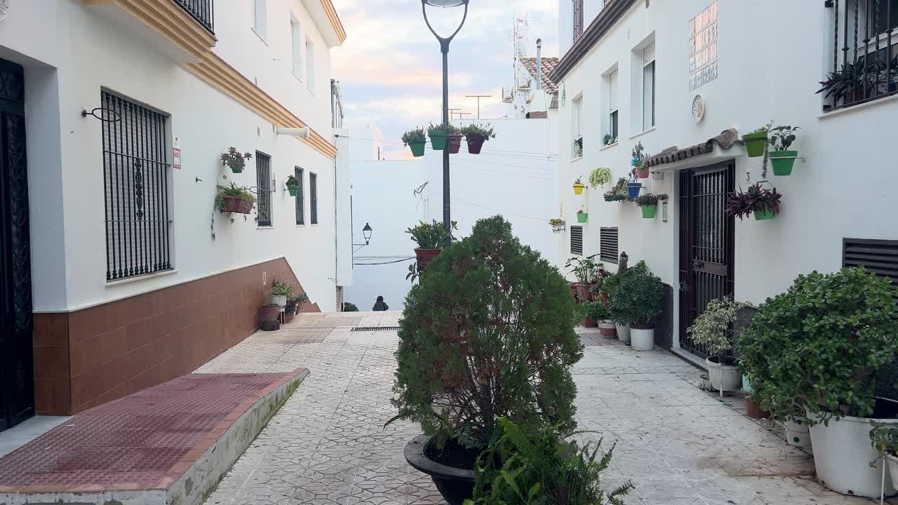 Carrellata in uscita da un bellissimo vicolo decorato con piante e pulito