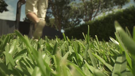 Macro-close-up-of-short-uncut-grass-in-foreground,-out-of-focus-lawn-mower-pushed-away-from-lens-and-back-into-it-at-a-very-close-distance