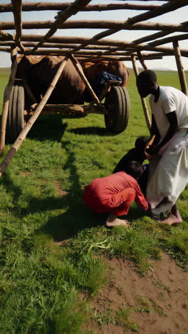 african people and oxcart in a rural landscape