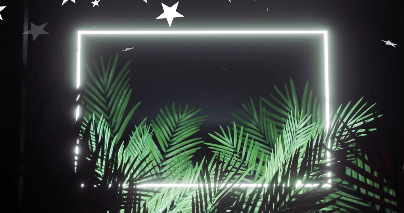 Stars drifting starting neon rectangle appearing and palms rising, creating silhouetted foliage