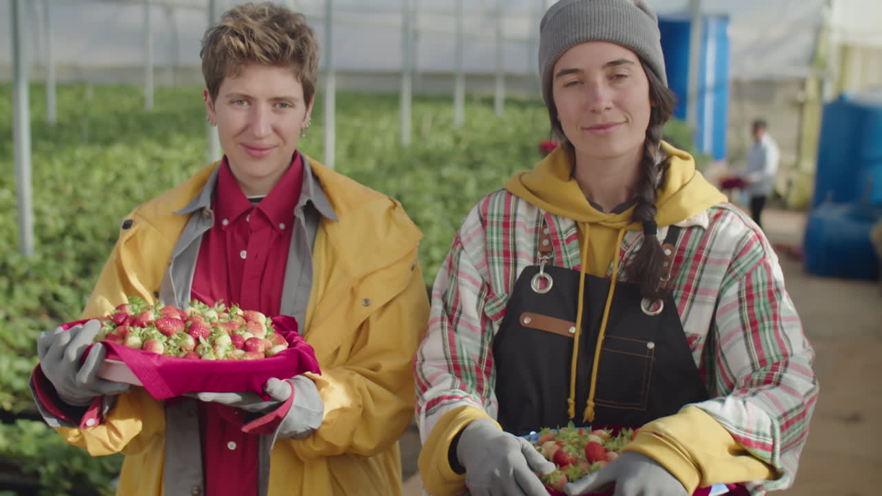 Portrait of Two Women with Fresh Strawberry in Greenhouse Farm