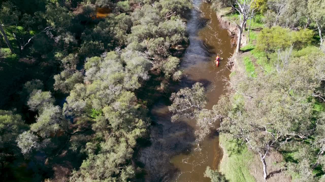 kayak acelerando por el río swan en el valle del cisne