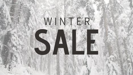 video generado digitalmente de la venta de invierno 4k