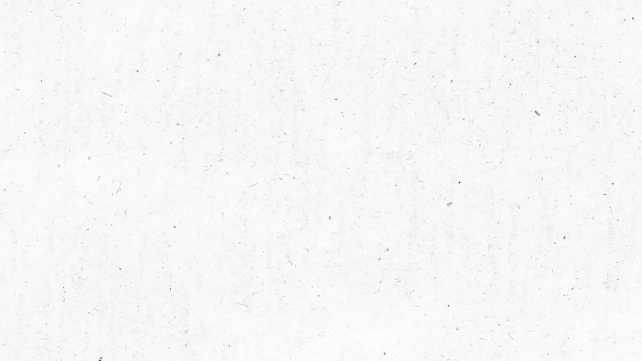 Animated Film Grain and Dust Overlay on White Background