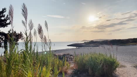 peaceful scenery of beach during sunset and a breeze of wind in summer