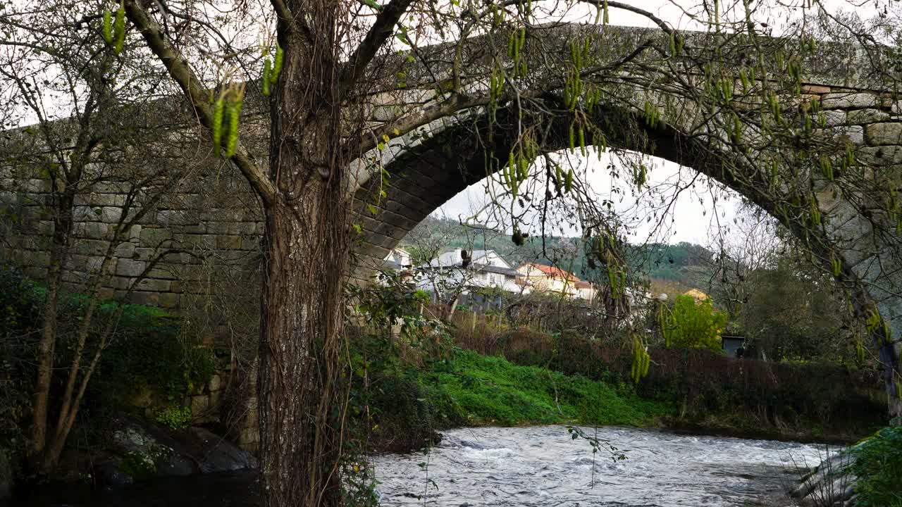 Yosunlu ağacın arkasındaki bir açıklıkta evlerin çerçevelendiği köprü ve Lonia Nehri'nin alçak açılı yan görünümü.