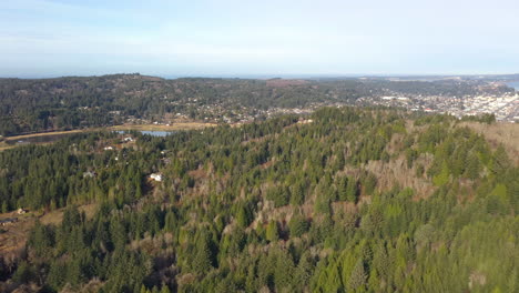 bosque verde que rodea la bahía de coos en oregon -antena