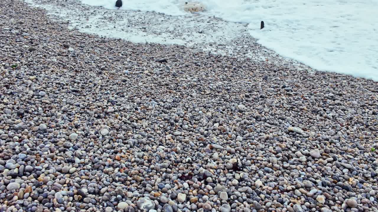 Onde che si infrangono sulla riva di una spiaggia di ciottoli con pietre dalla texture densa e variabile, Etretat, Senna Marittima, Francia