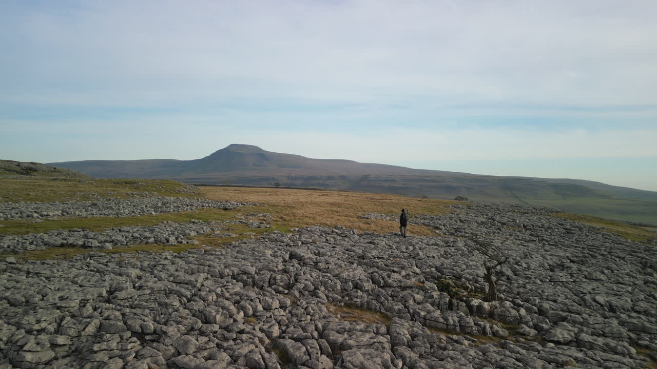 등산객과 오래된 나무가 있는 바위 언덕 위를 날아 잉글턴 요크셔 영국의 잉글버러 산을 향해