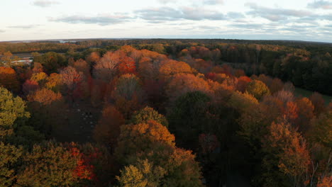 aerial fly over footage over lush foliage flooded with golden sunset in new england